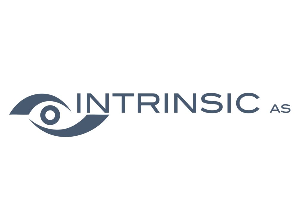 Logo Intrinsic